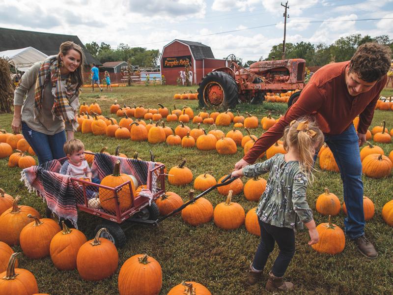 The BEST Fall Festivals in Branson - Rent Branson