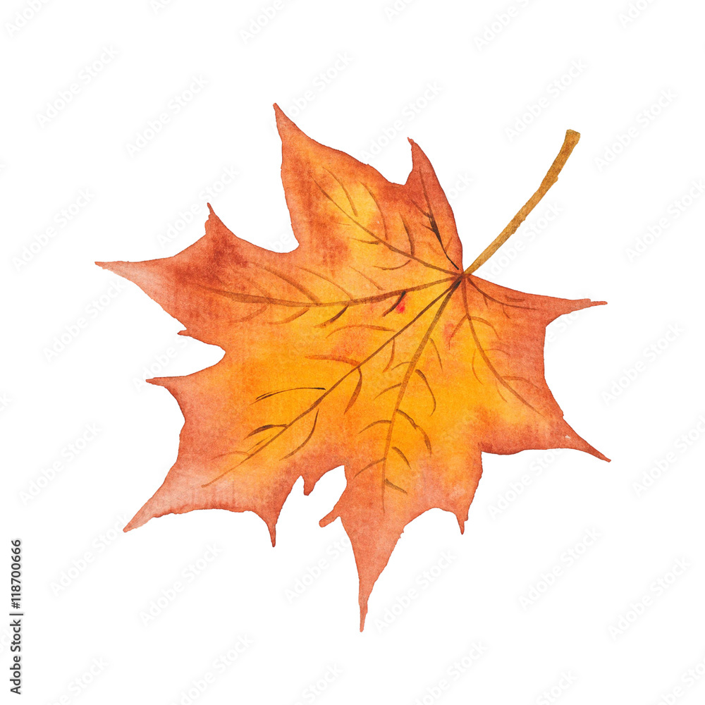 fall leaves graphic
