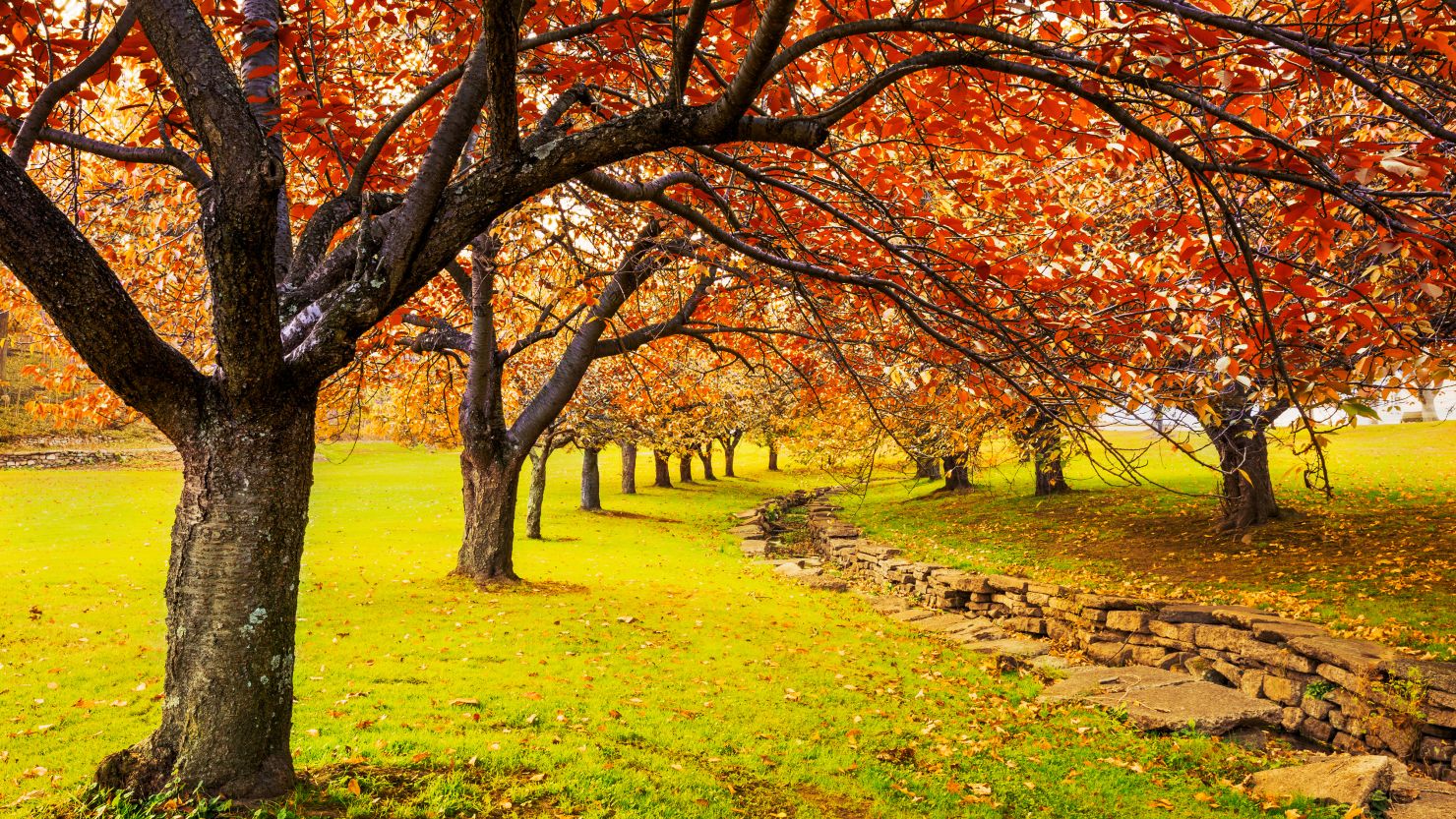 fall