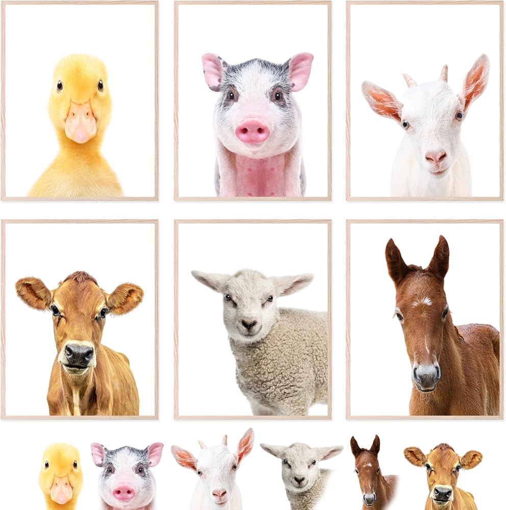 farm animal images