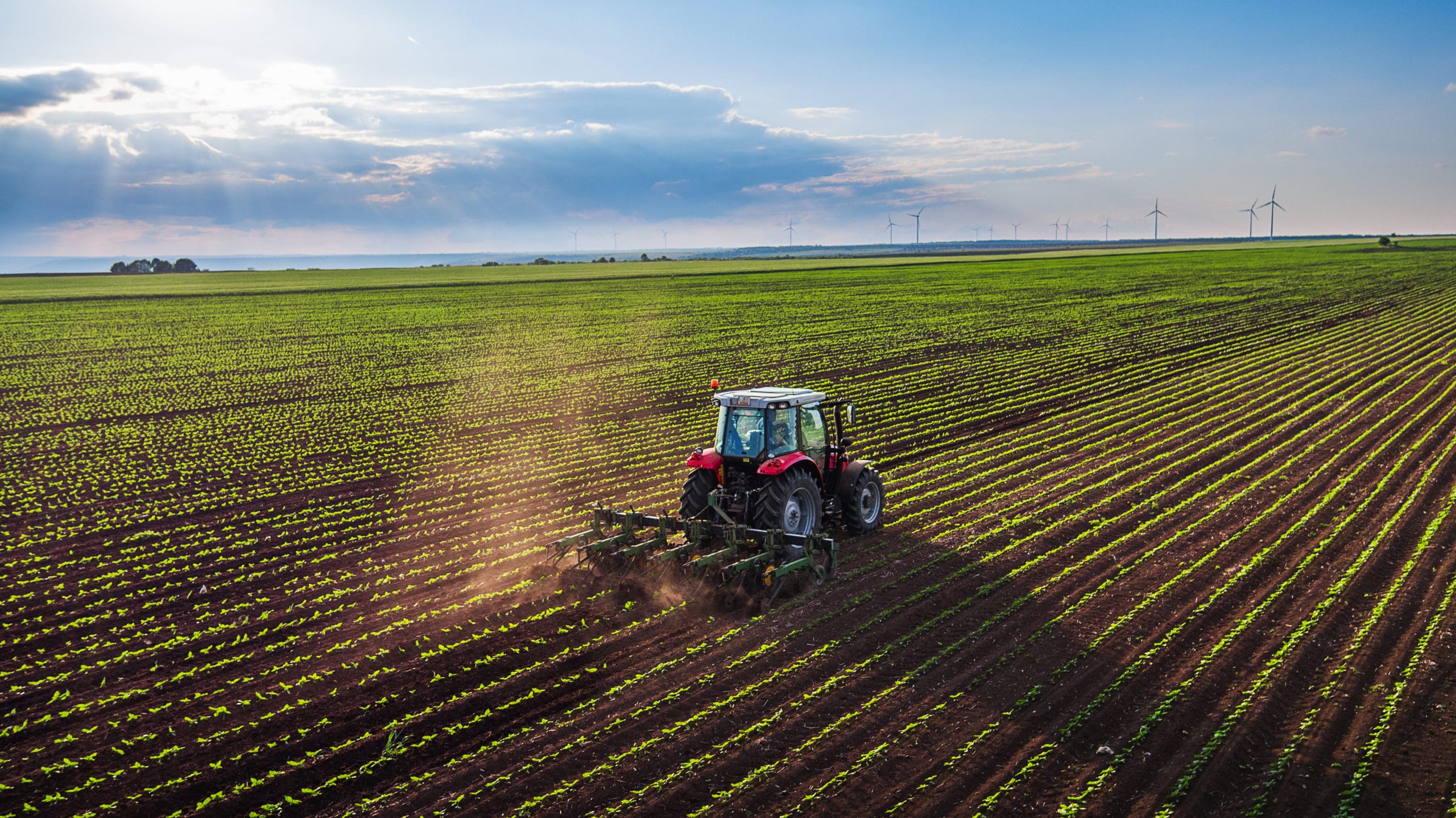farm land pictures