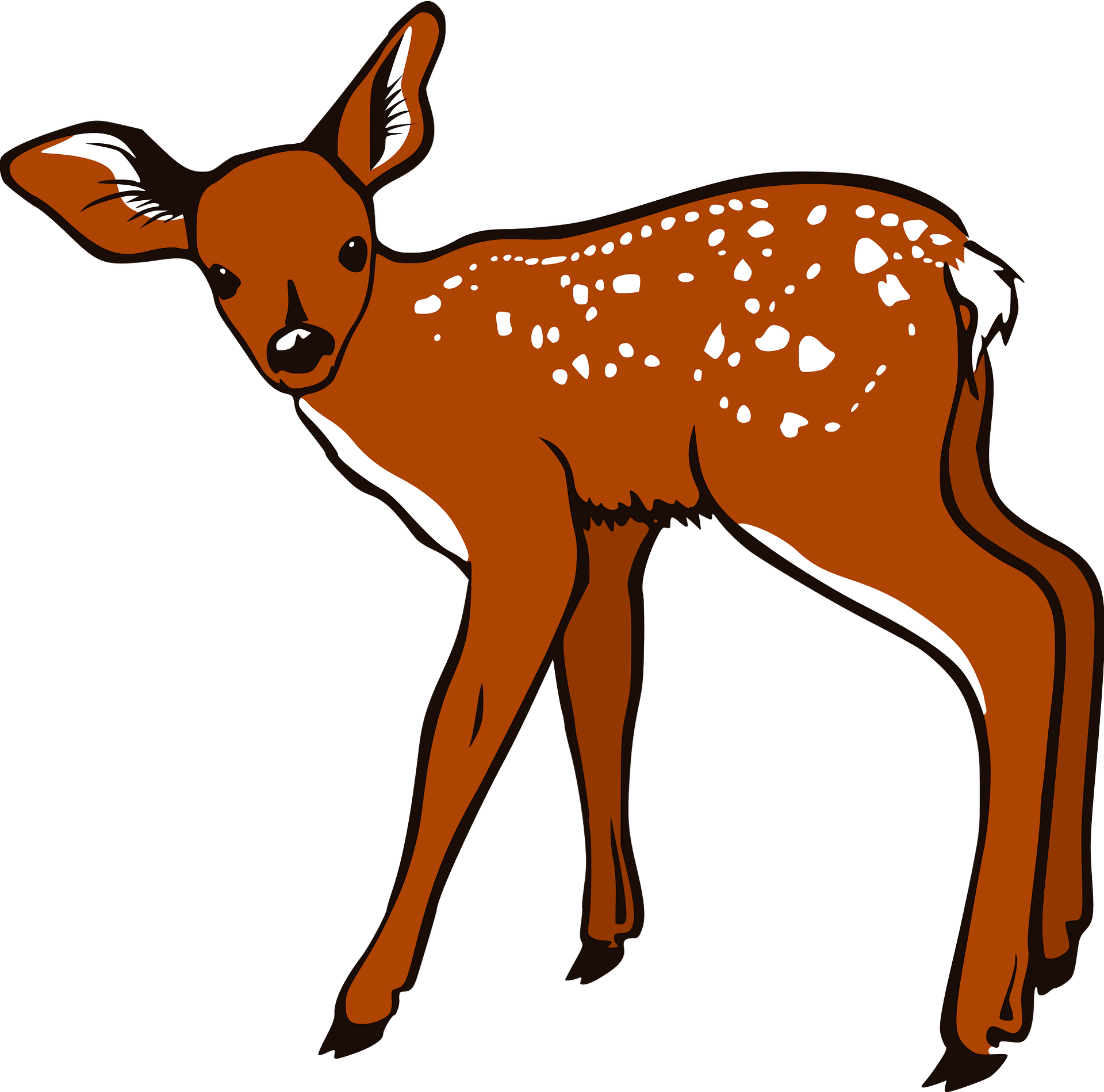 fawn clipart