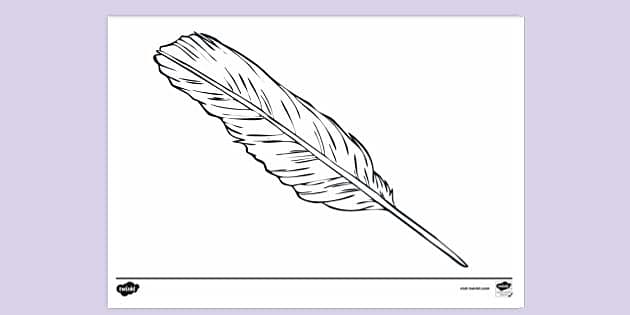 Printable Feather Colouring Page (teacher made) - Twinkl
