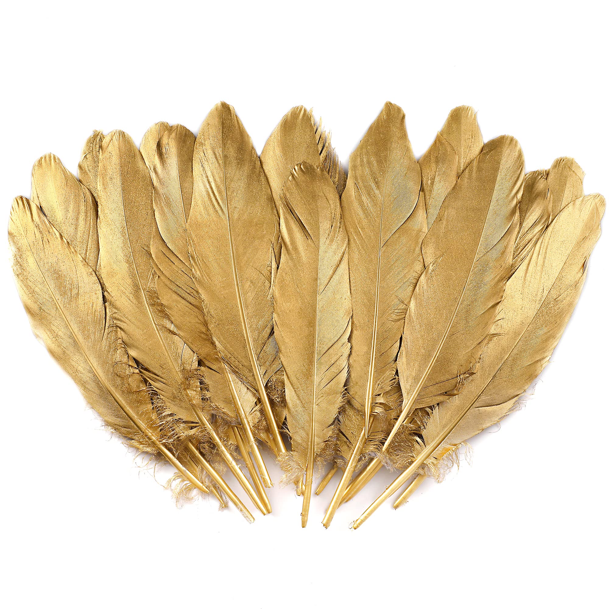 Larryhot Gold Goose Feathers for Cafts - 6-8 Inch 60 Pieces Natural  Feathers for Wedding Party Decorations Crafts and Clothing Accessories  (Gold) : ...