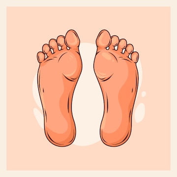 feet cliparts 2024
