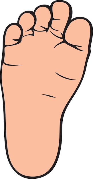 Foot Clipart Images - Free Download on clipart library