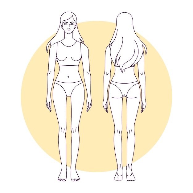 female body outline