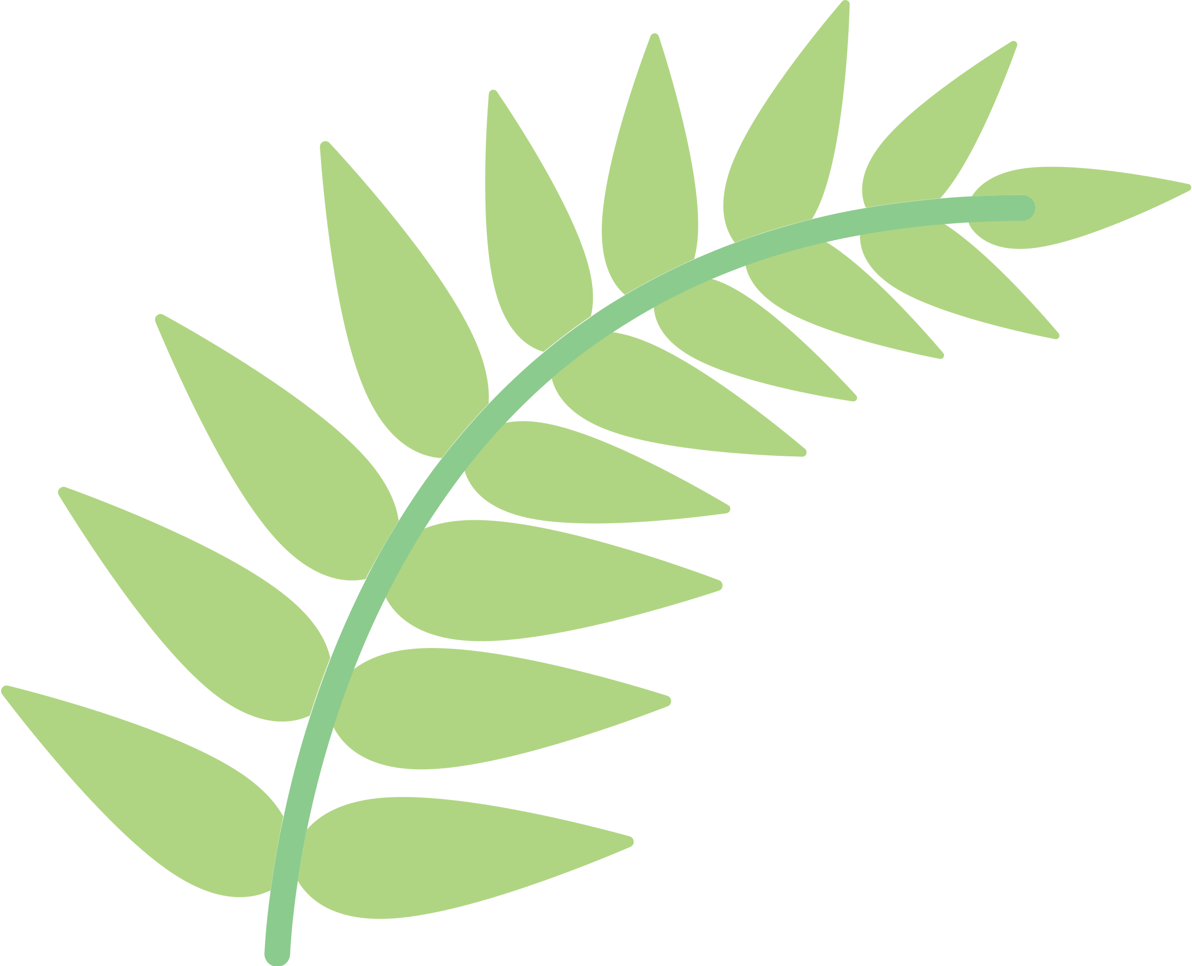 fern cliparts 2024