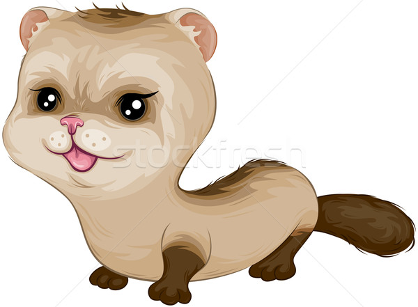 ferret clipart