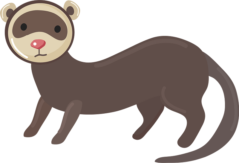 ferret clipart