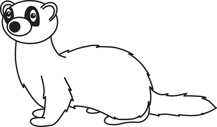 Animals Black and White Outline Clipart - ferret-02-outline-cliprt ...