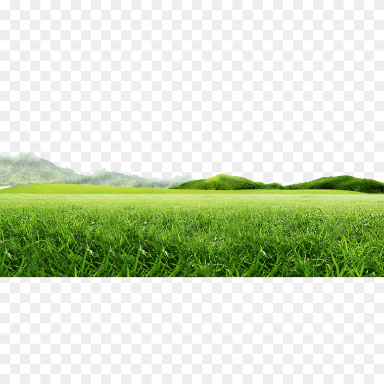 field background cliparts 2024