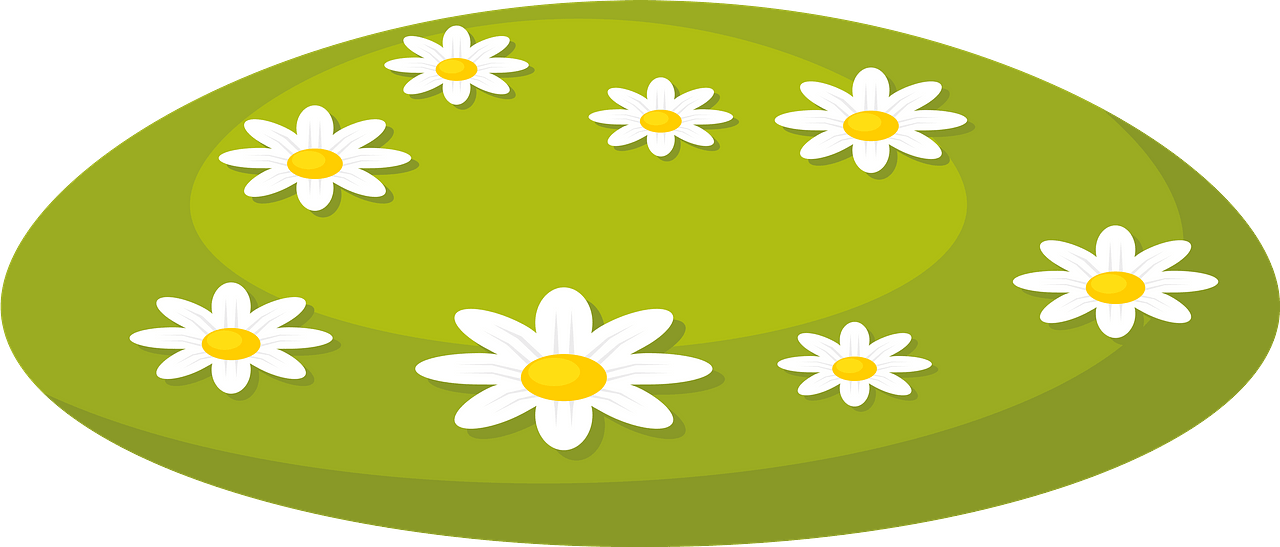 field daisy cliparts