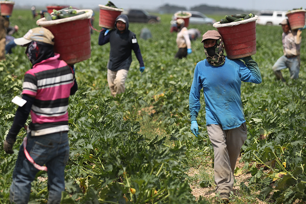 Protecting Farmworkers From Coronavirus and Securing the Food ...
