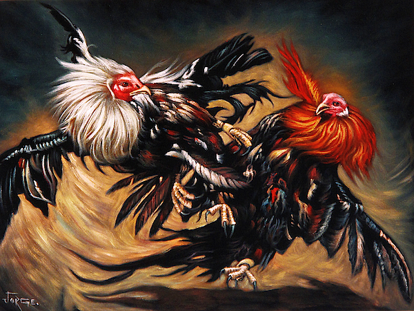 Mexican Cock fight rooster Tapestry by Jorge Torrones - Fine Art ...