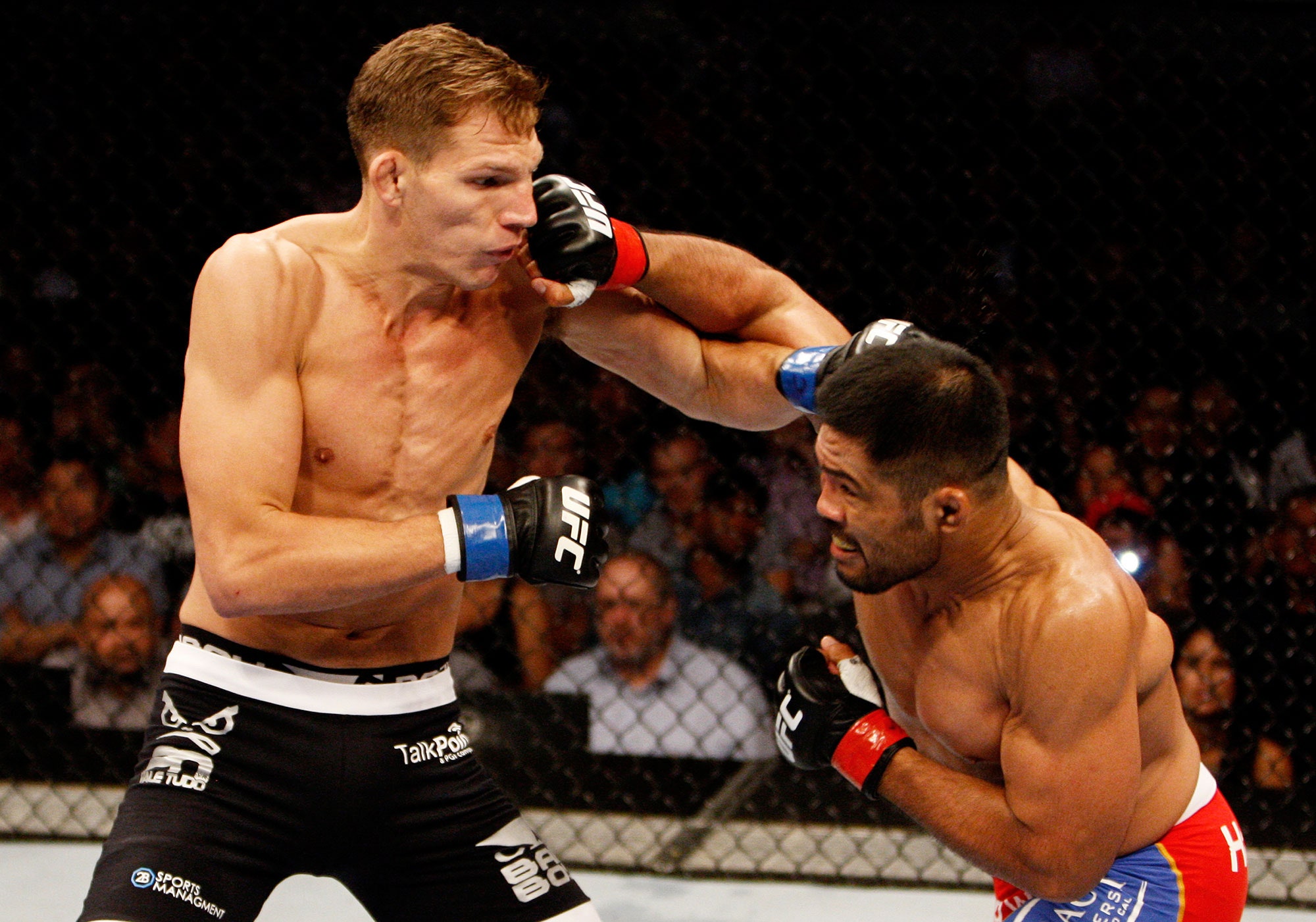 Ultimate Fighting Versus Boxing | The New Yorker