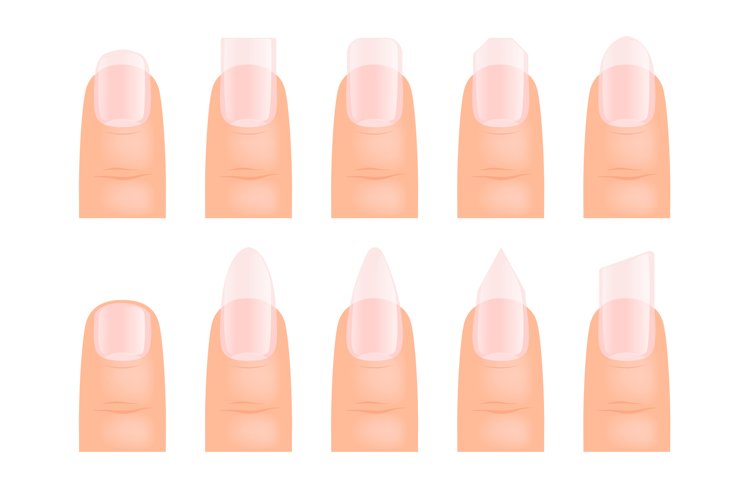 fingernail cliparts