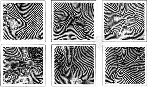 Fingerprint | Definition &amp; Facts | Britannica
