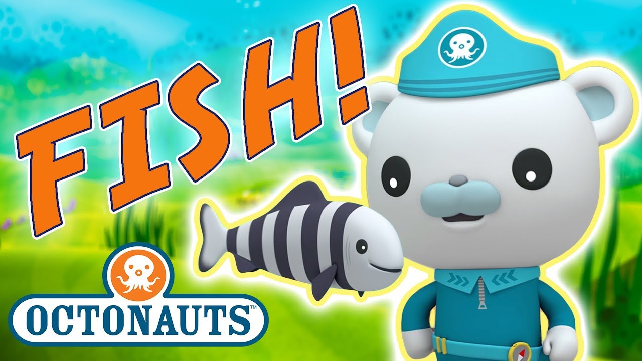 Octonauts - Learn about Fish | Cartoons for Kids | Underwater Sea Education