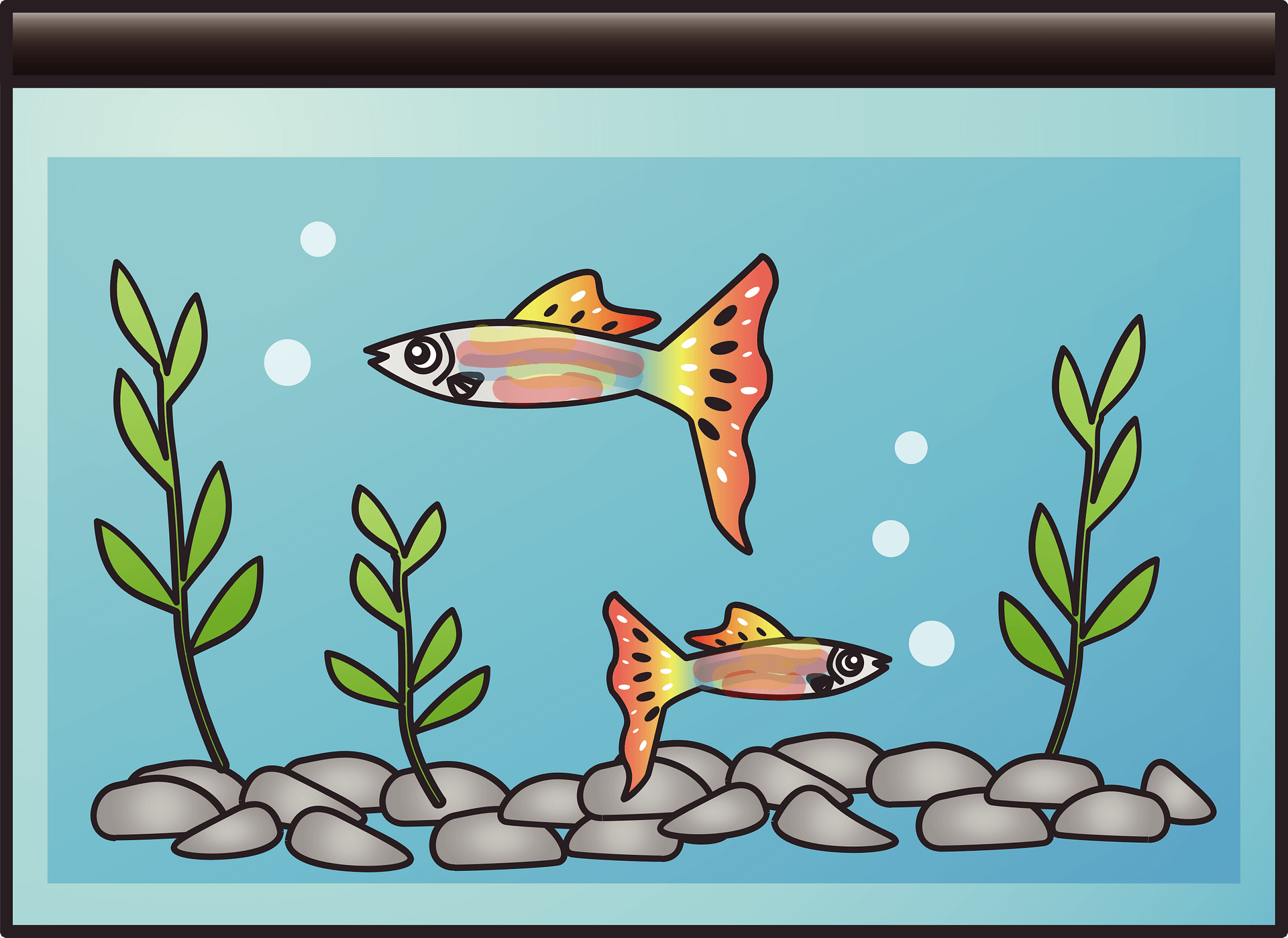 fish home cliparts