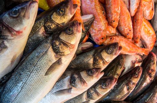 Free Fish Stock Photos - Stockvault.net