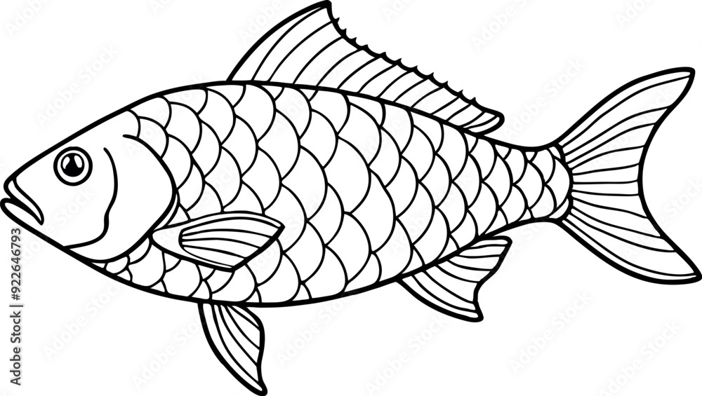 Black and White Fish Outline Illustration for Coloring Page Stock ...