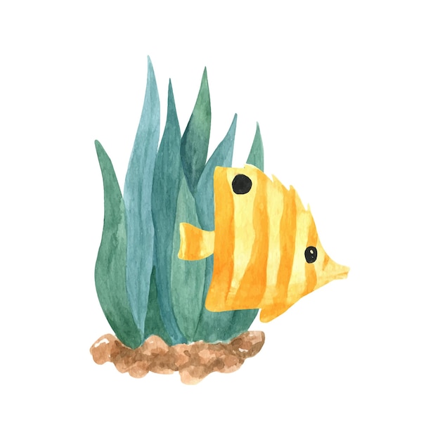fish seaweed cliparts