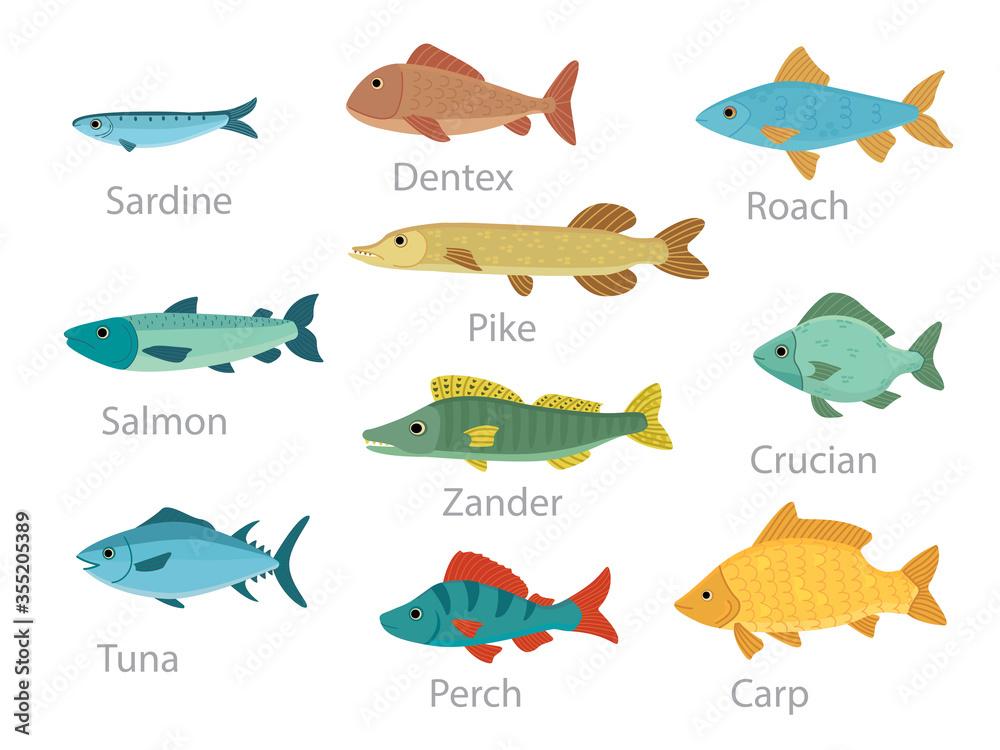 fishes