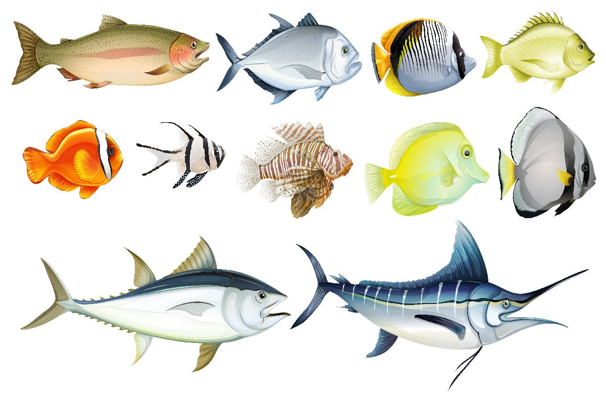 fishes