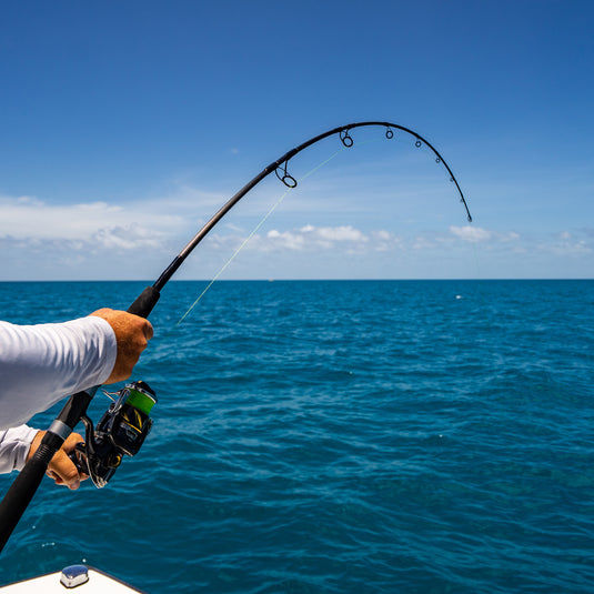 fishing rod