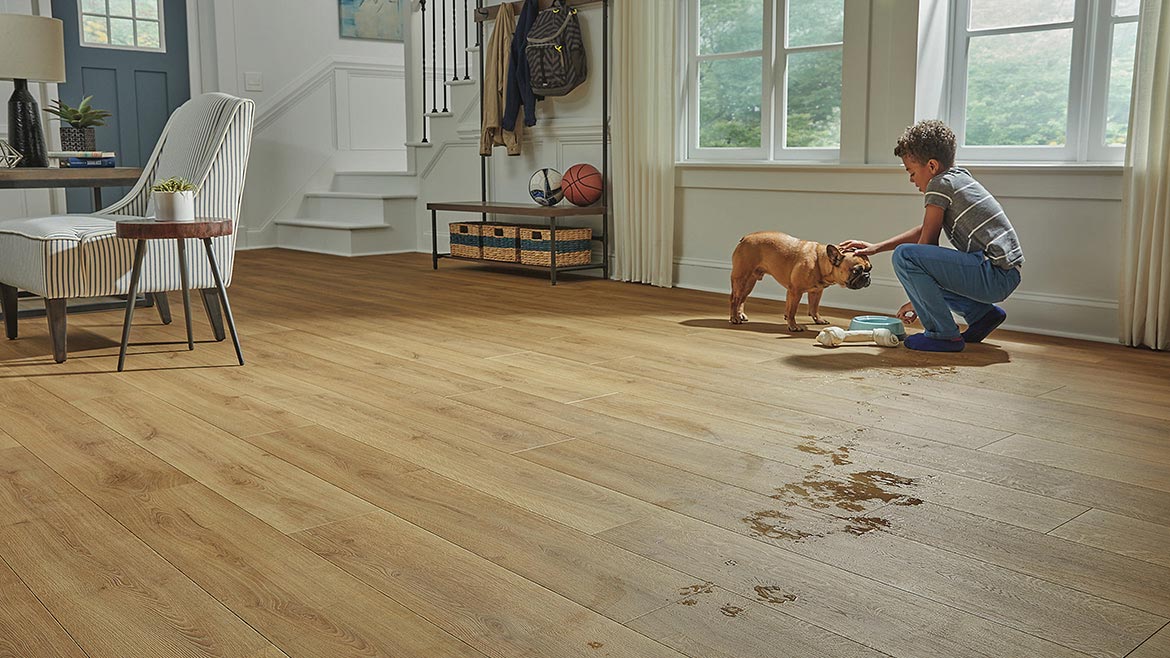 flooring cliparts 2024