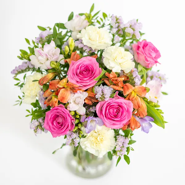 Colorful Blooms