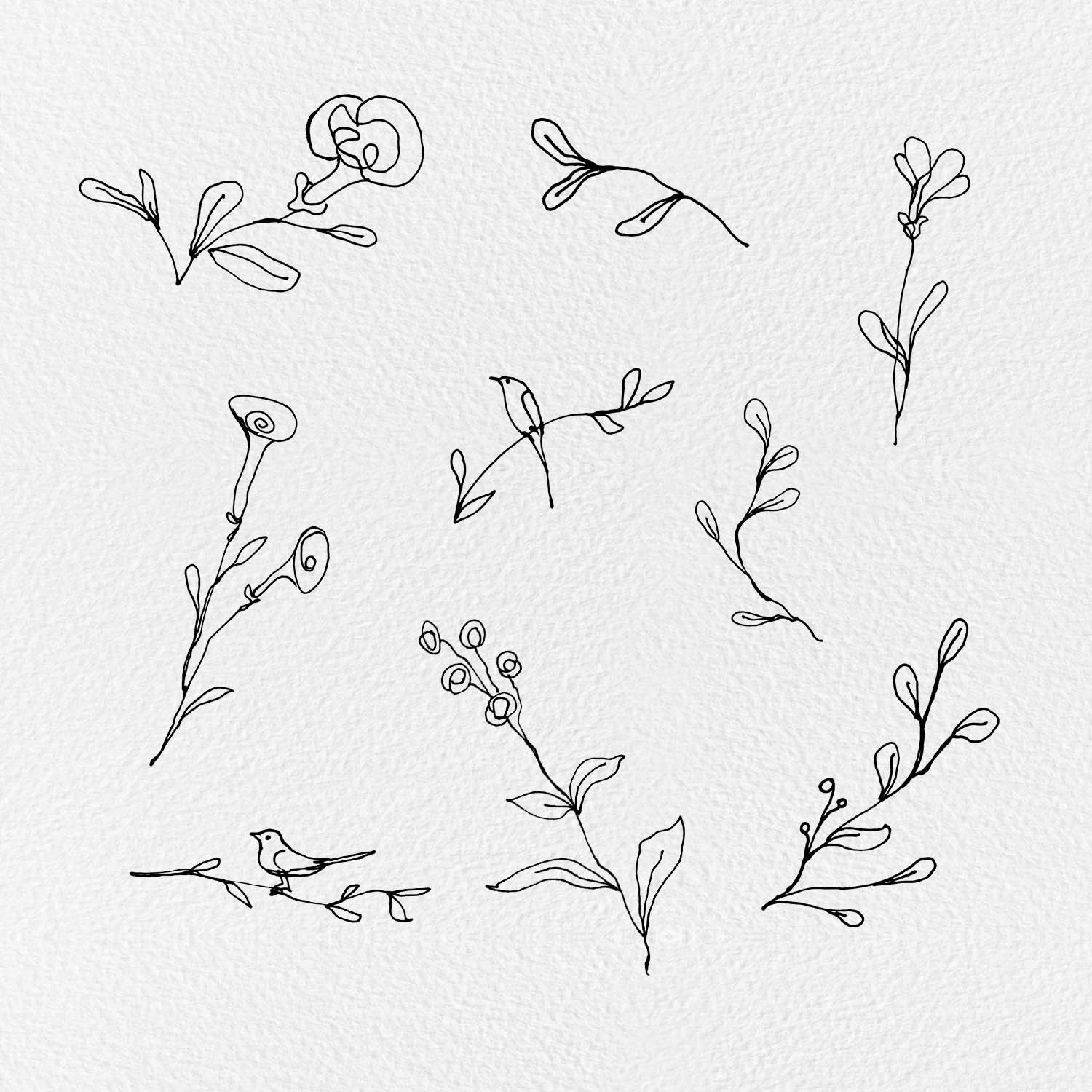 floral line cliparts 2024