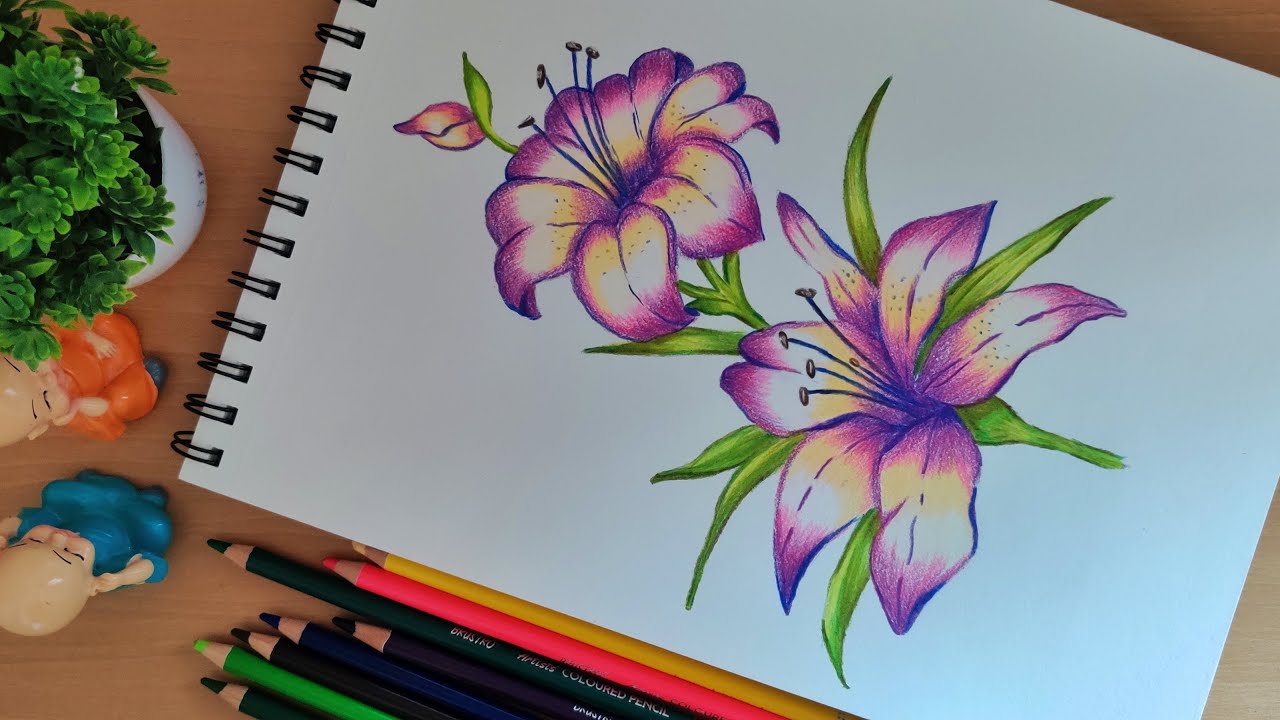 Pencil Color Flower Drawing | Flower Painting using Pencil Color | Pencil  Color Art