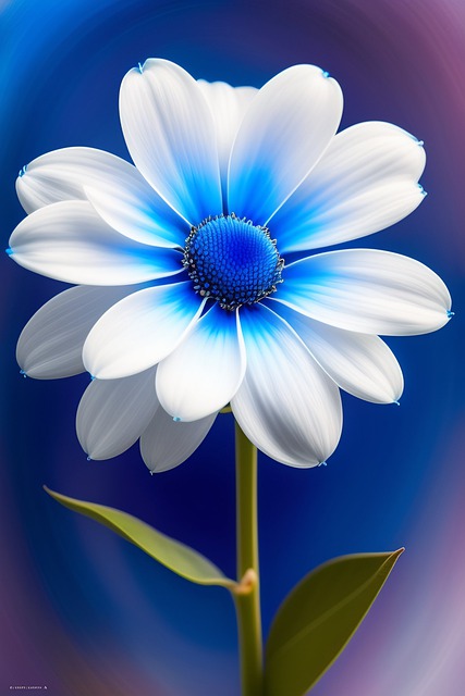 flower clipart_2023