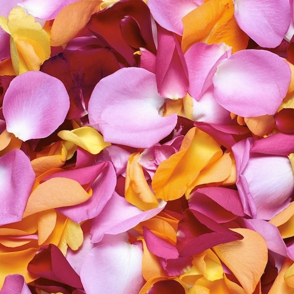 Mixed Rose Petals Pack