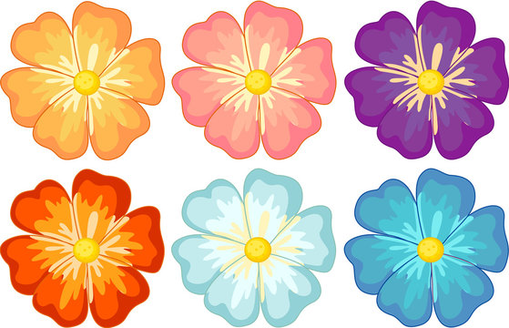 Flowers Cartoon Characters PNG &amp; SVG Design For T-Shirts