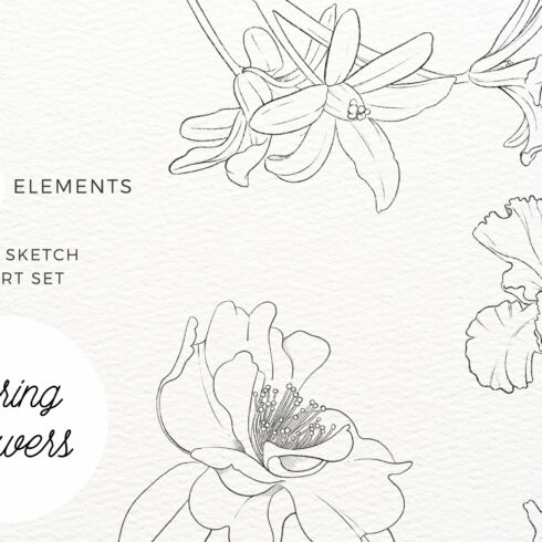 flowers line cliparts 2024