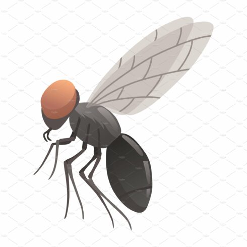 fly cliparts 2024