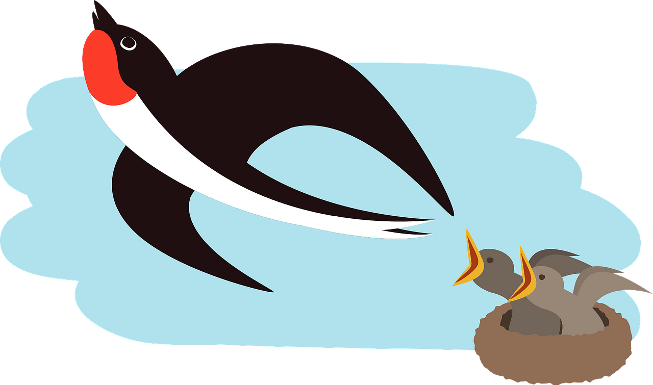 Swallow bird flying away from baby birds in the nest - Free vector ...