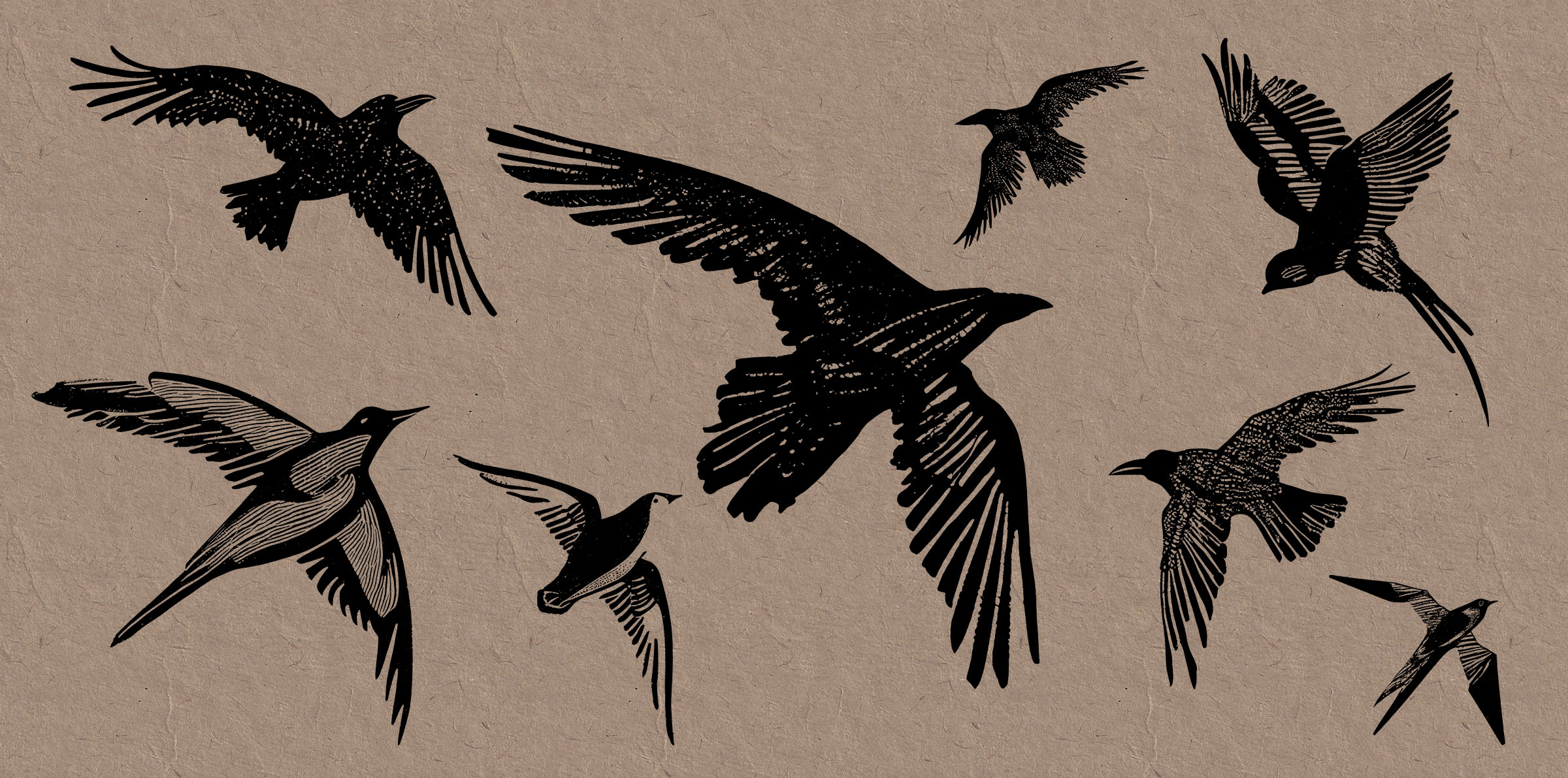 flying birds cliparts 2024
