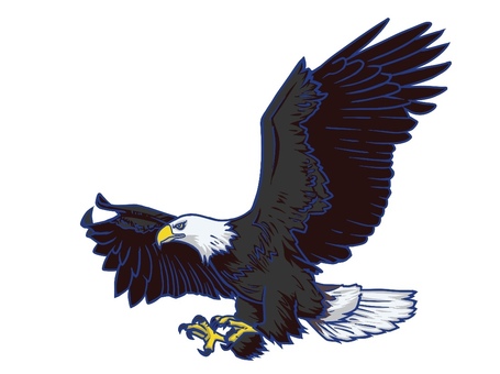 Free Vectors | Illustration of a flying hawk