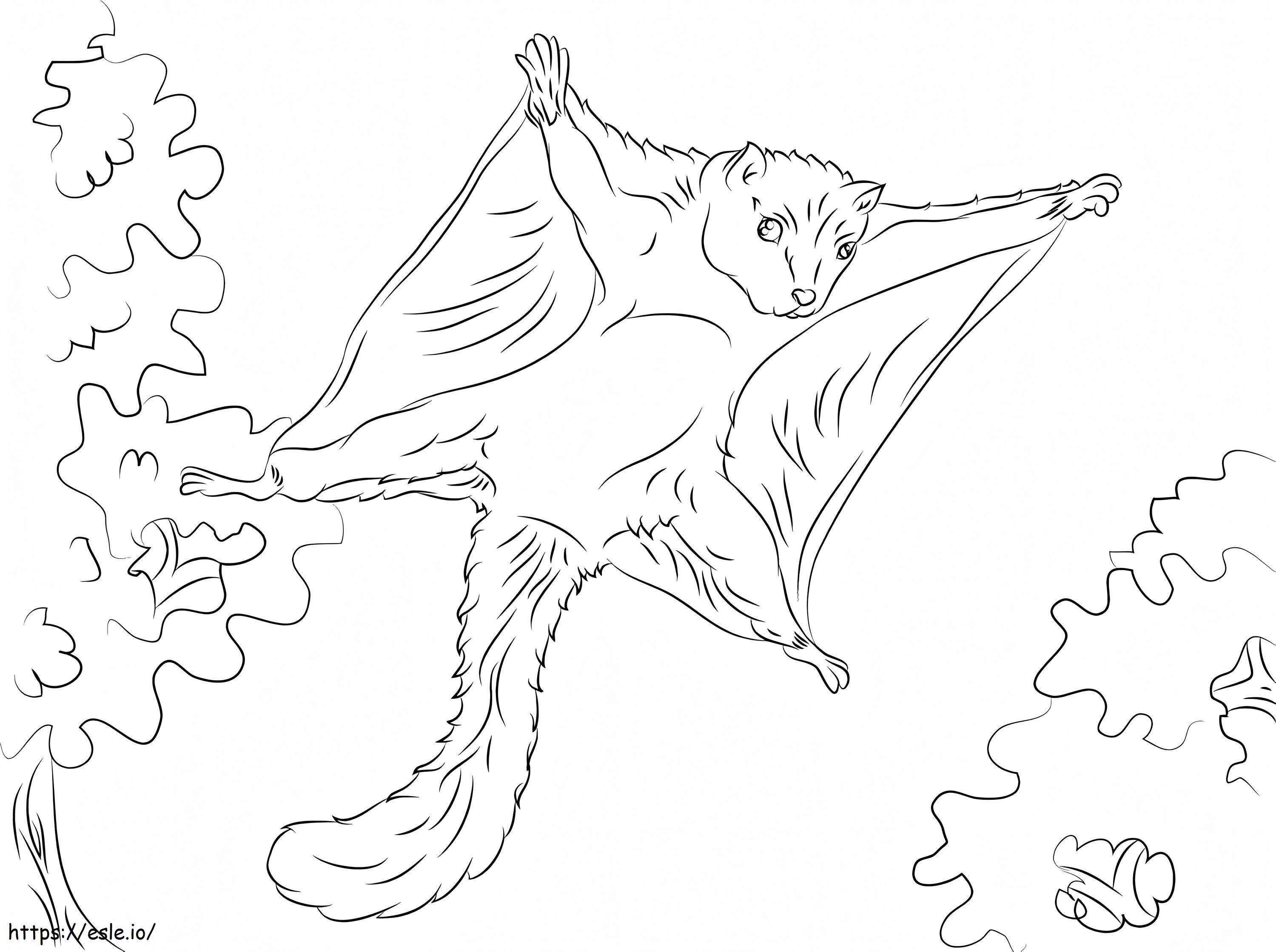 Flying Squirrel coloring page