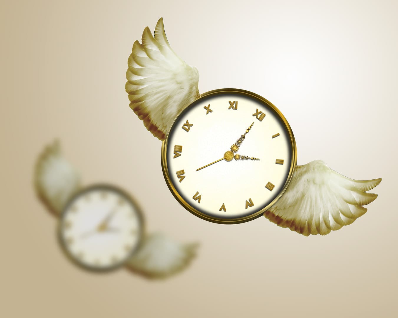Time Flies and Heres Why - Dr. Jamie Long, Fort Lauderdale ...