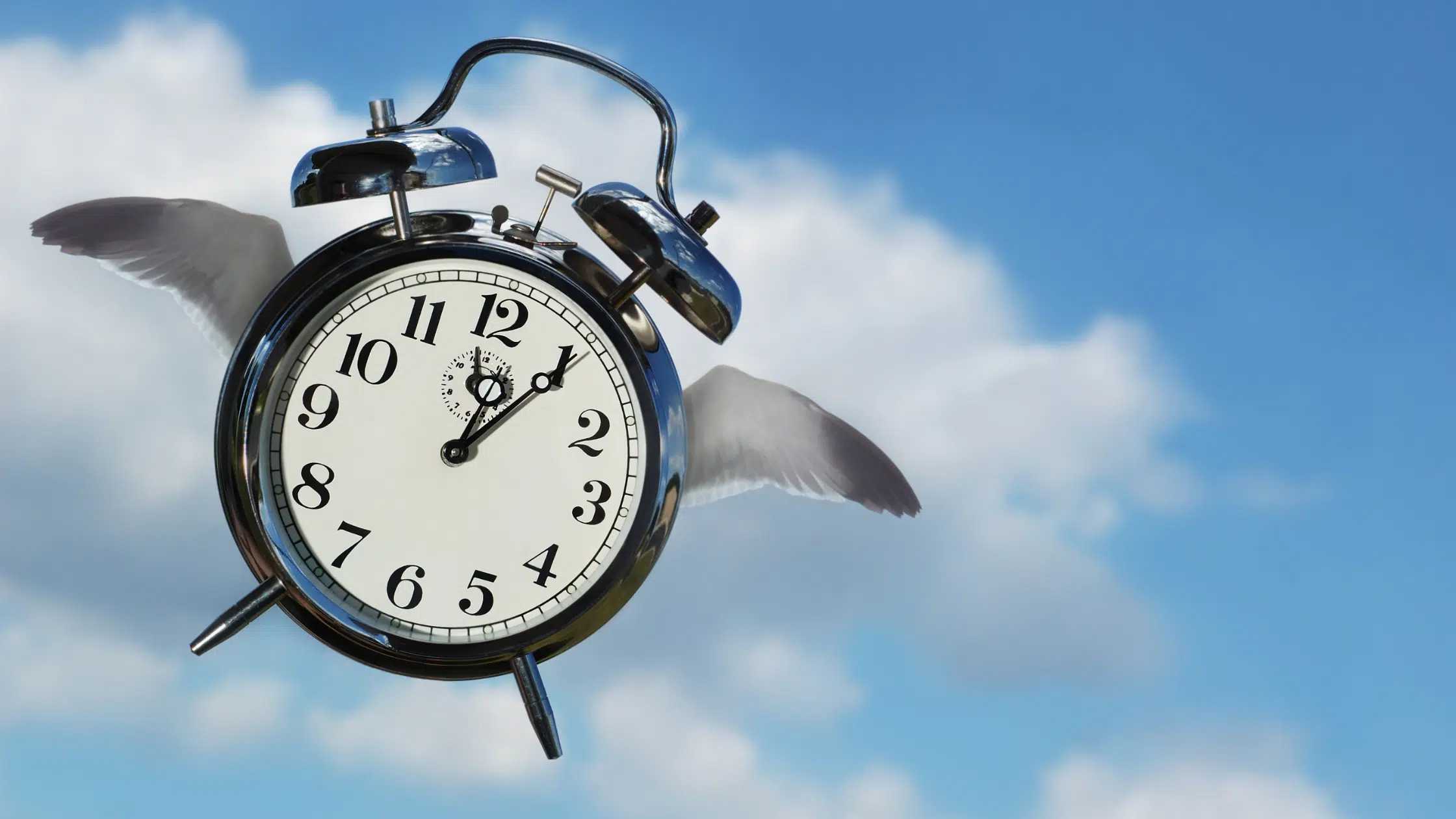 Time Flies So Fast - Heres What it Means and How to Not Miss a ...