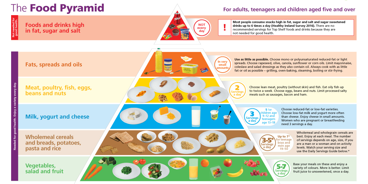 The Food Pyramid | safefood