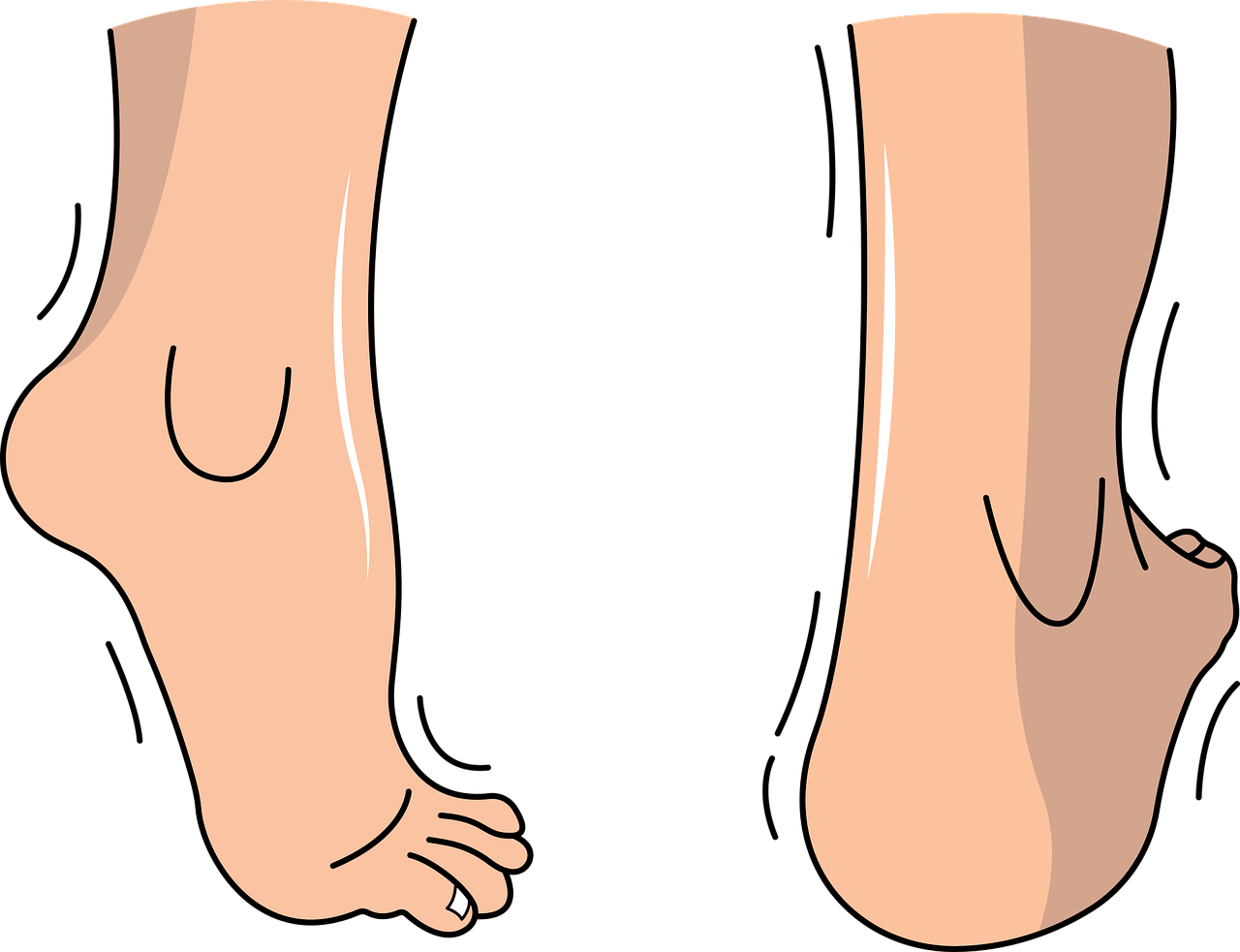 Download Foot, Feet, Ankle. Royalty-Free Vector Graphic - Pixabay
