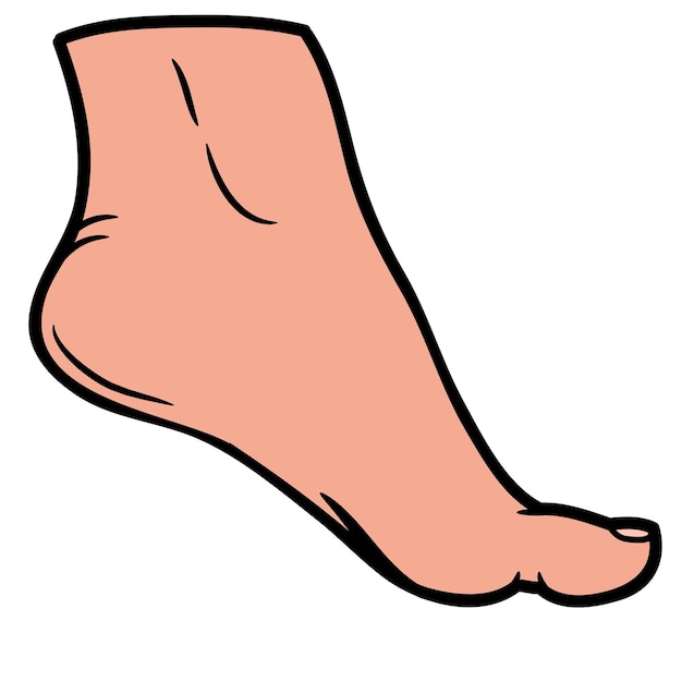 foot cliparts