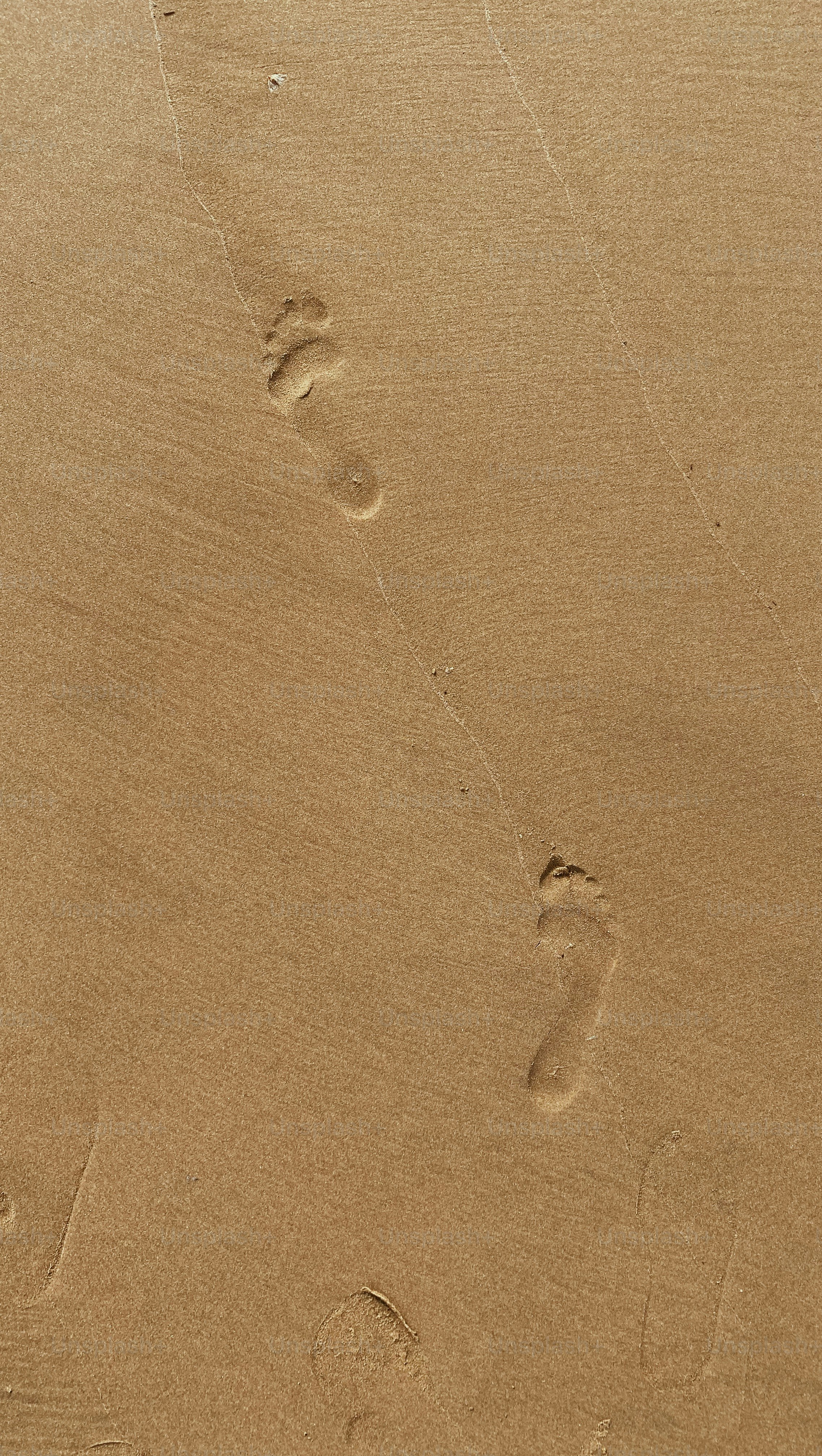 footprints pictures