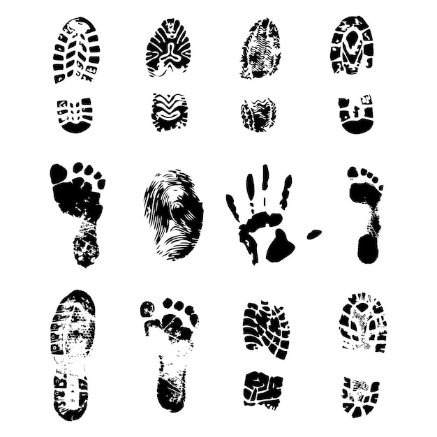 Foot Print Images - Free Download on clipart library